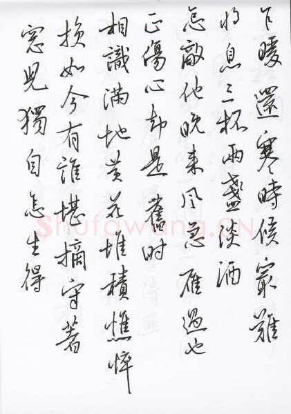 陈文轩硬笔行书宋词小册,陈文轩硬笔书法作品