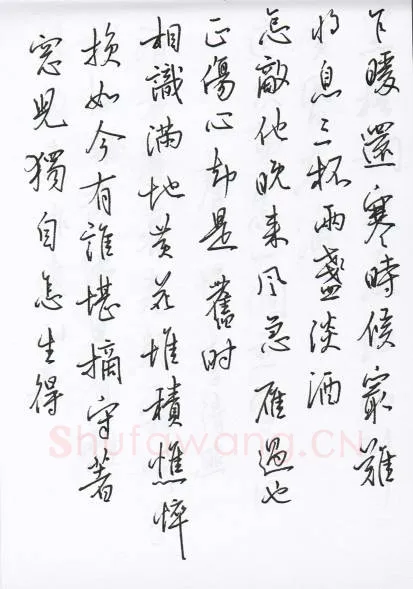 陈文轩硬笔行书宋词小册,陈文轩硬笔书法作品