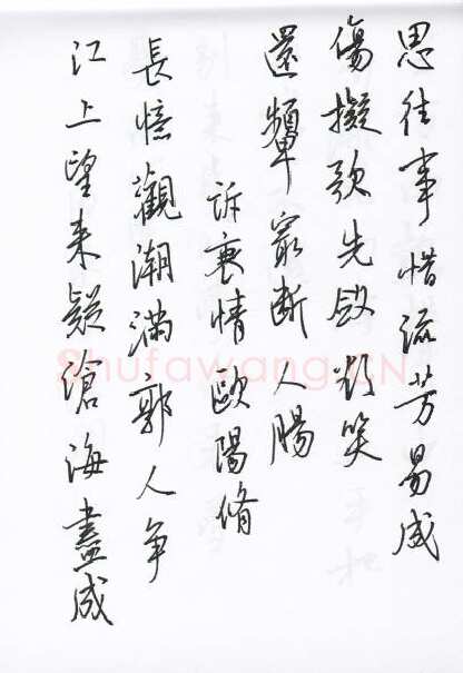 陈文轩硬笔行书宋词小册,陈文轩硬笔书法作品