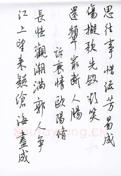 陈文轩硬笔行书宋词小册,陈文轩硬笔书法作品