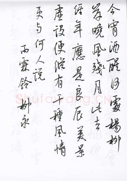 陈文轩硬笔行书宋词小册,陈文轩硬笔书法作品