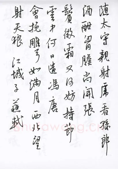 陈文轩硬笔行书宋词小册,陈文轩硬笔书法作品