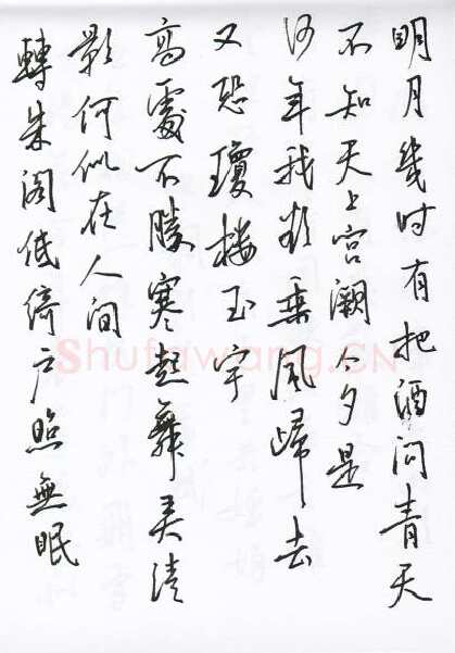 陈文轩硬笔行书宋词小册,陈文轩硬笔书法作品