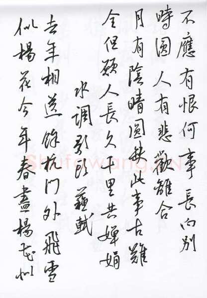 陈文轩硬笔行书宋词小册,陈文轩硬笔书法作品