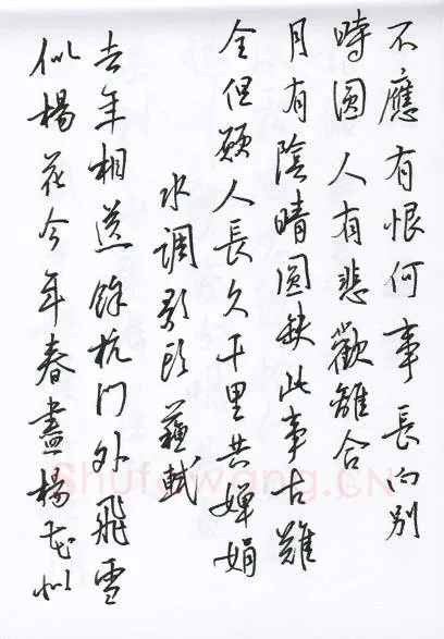 陈文轩硬笔行书宋词小册,陈文轩硬笔书法作品