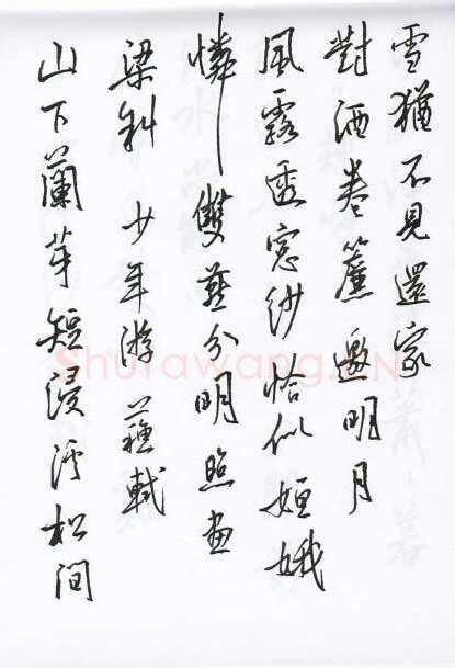 陈文轩硬笔行书宋词小册,陈文轩硬笔书法作品