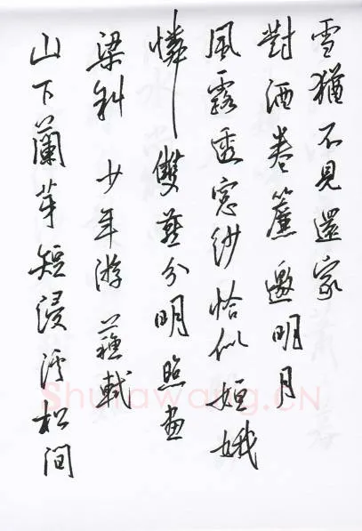陈文轩硬笔行书宋词小册,陈文轩硬笔书法作品