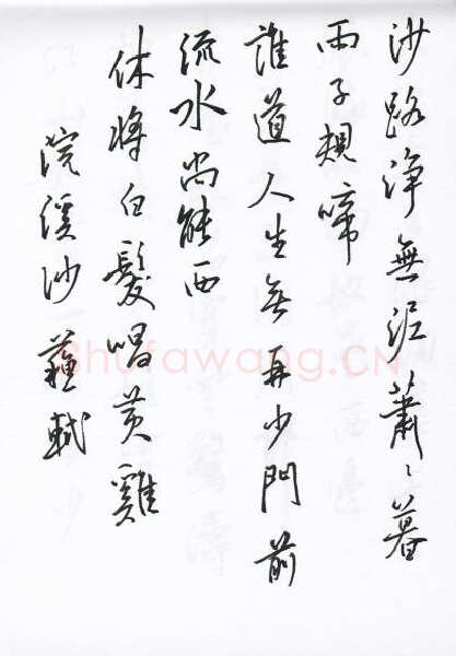 陈文轩硬笔行书宋词小册,陈文轩硬笔书法作品