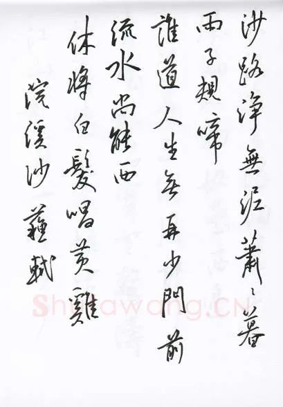 陈文轩硬笔行书宋词小册,陈文轩硬笔书法作品