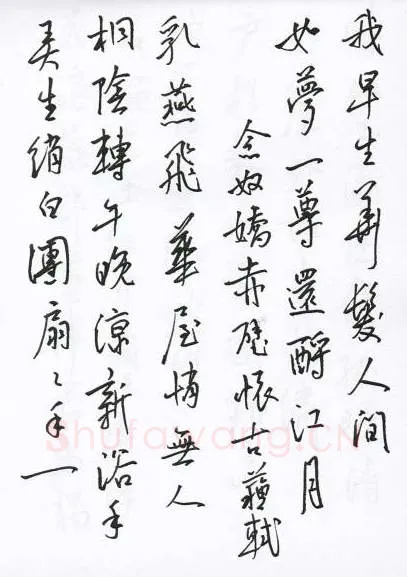 陈文轩硬笔行书宋词小册,陈文轩硬笔书法作品