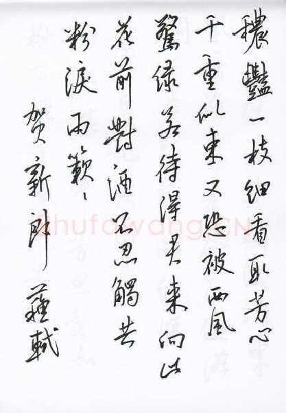 陈文轩硬笔行书宋词小册,陈文轩硬笔书法作品