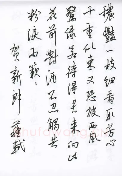 陈文轩硬笔行书宋词小册,陈文轩硬笔书法作品