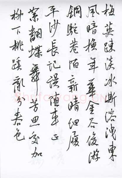 陈文轩硬笔行书宋词小册,陈文轩硬笔书法作品
