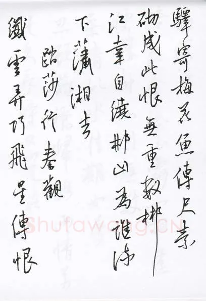 陈文轩硬笔行书宋词小册,陈文轩硬笔书法作品