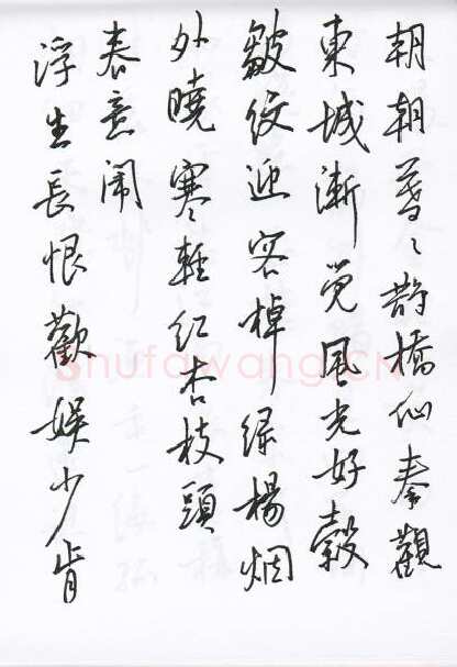 陈文轩硬笔行书宋词小册,陈文轩硬笔书法作品