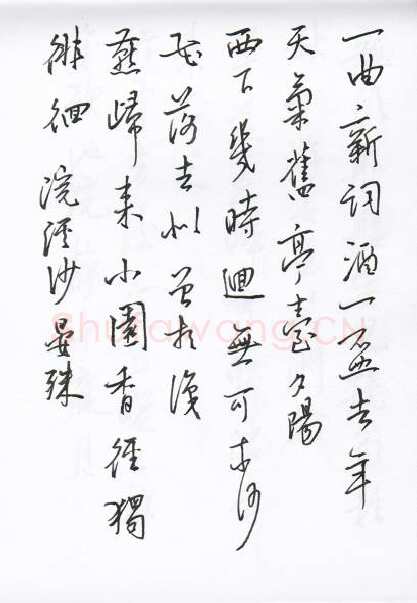 陈文轩硬笔行书宋词小册,陈文轩硬笔书法作品