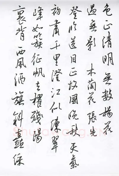 陈文轩硬笔行书宋词小册,陈文轩硬笔书法作品