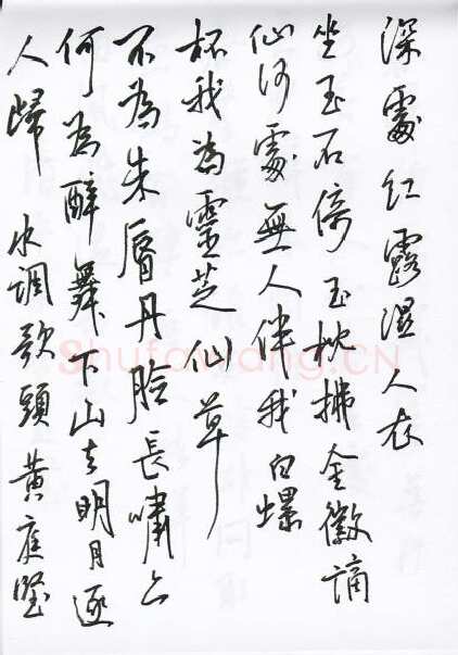 陈文轩硬笔行书宋词小册,陈文轩硬笔书法作品