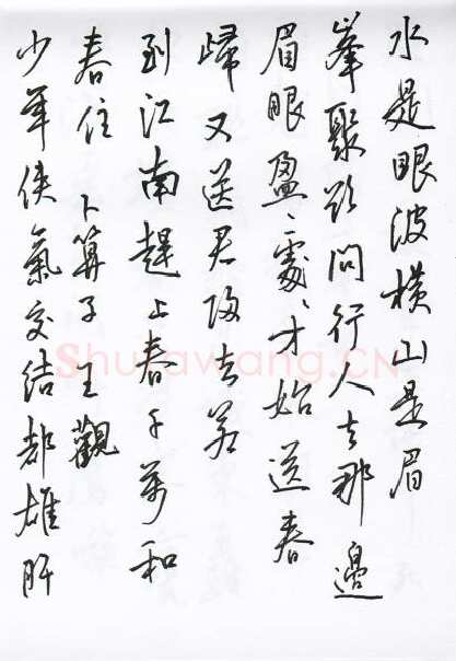 陈文轩硬笔行书宋词小册,陈文轩硬笔书法作品