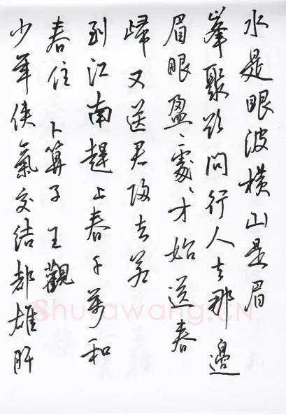 陈文轩硬笔行书宋词小册,陈文轩硬笔书法作品
