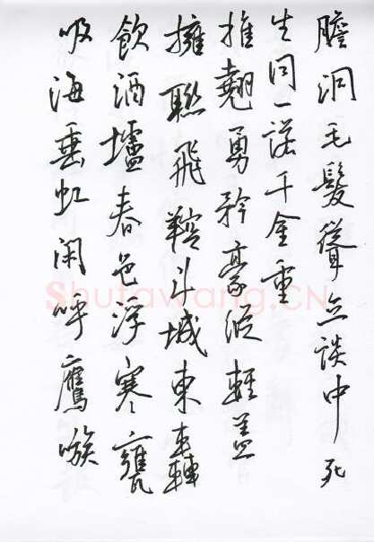 陈文轩硬笔行书宋词小册,陈文轩硬笔书法作品