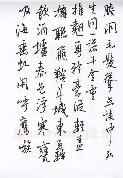 陈文轩硬笔行书宋词小册,陈文轩硬笔书法作品
