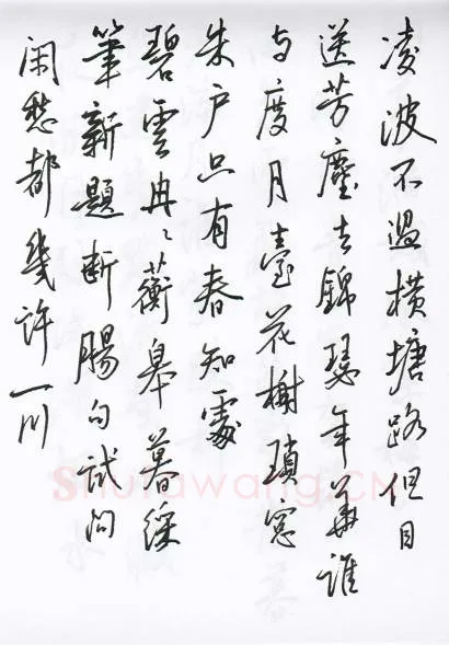 陈文轩硬笔行书宋词小册,陈文轩硬笔书法作品