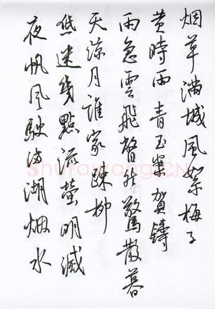 陈文轩硬笔行书宋词小册,陈文轩硬笔书法作品