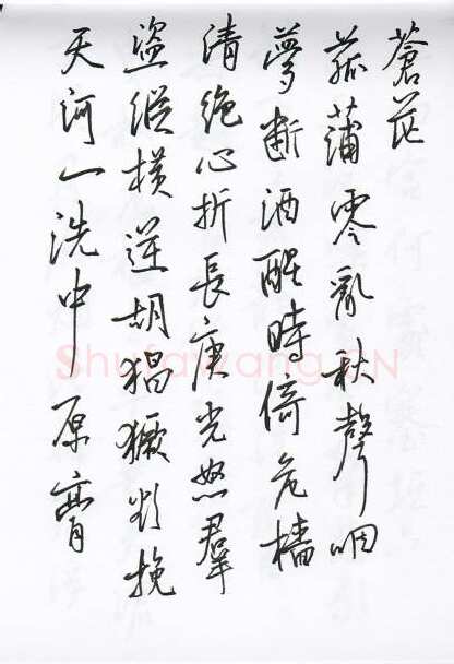 陈文轩硬笔行书宋词小册,陈文轩硬笔书法作品