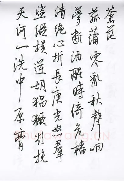 陈文轩硬笔行书宋词小册,陈文轩硬笔书法作品
