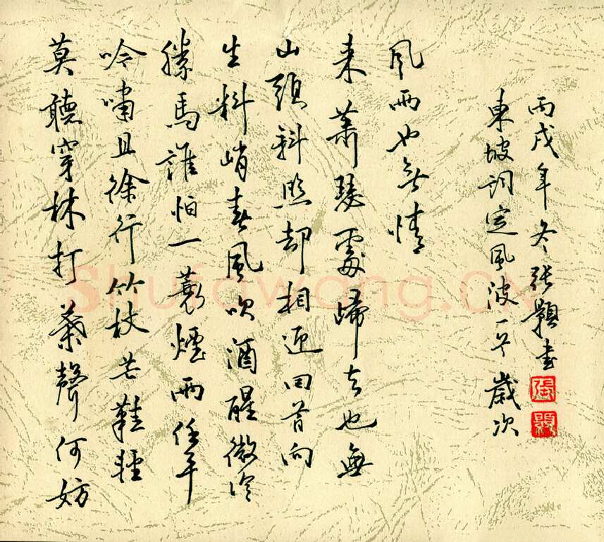 张颢硬笔行书东坡词定风波一首,张颢硬笔书法作品