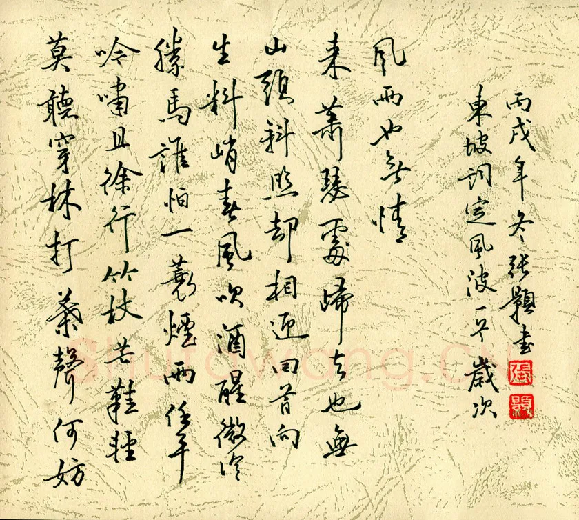 张颢硬笔行书东坡词定风波一首,张颢硬笔书法作品