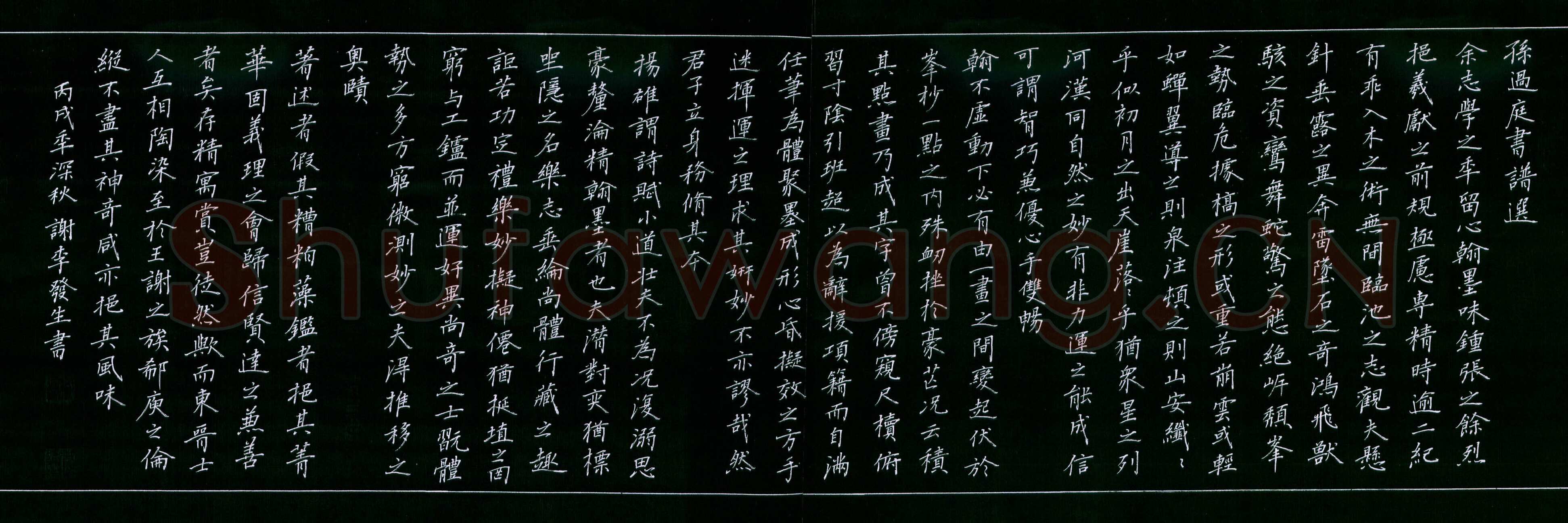 谢李发生硬笔楷书孙过庭书谱选,硬笔书法作品