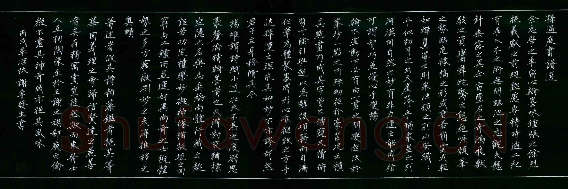 谢李发生硬笔楷书孙过庭书谱选,硬笔书法作品