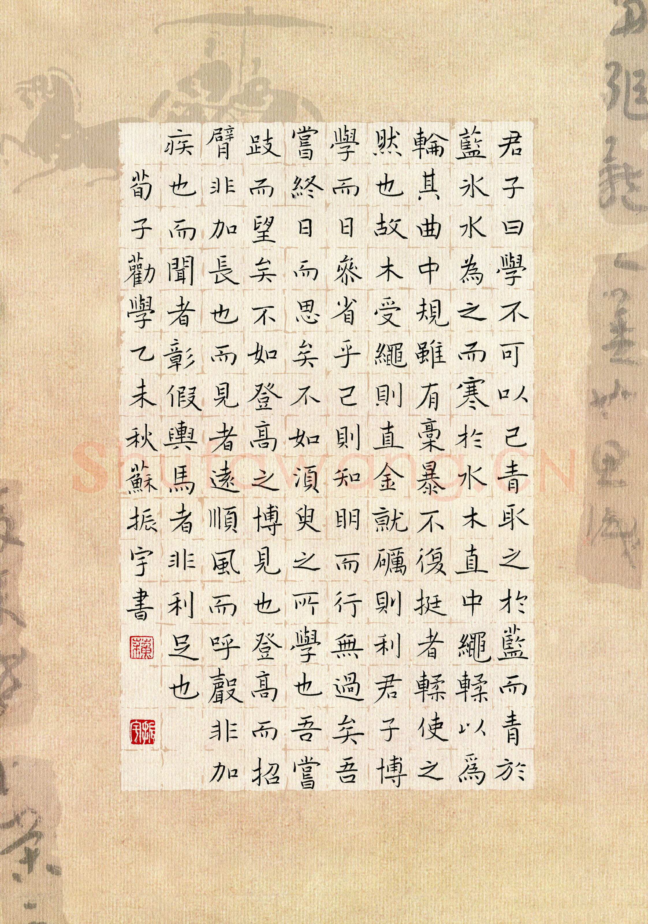 苏振宇硬笔楷书荀子劝学,苏振宇硬笔书法作品