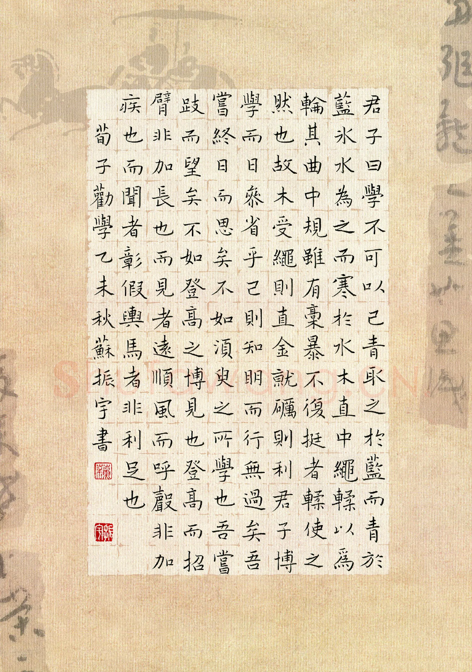 苏振宇硬笔楷书荀子劝学,苏振宇硬笔书法作品