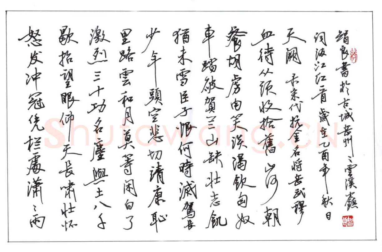 丁智良硬笔行书岳阳满江红,丁智良硬笔书法作品