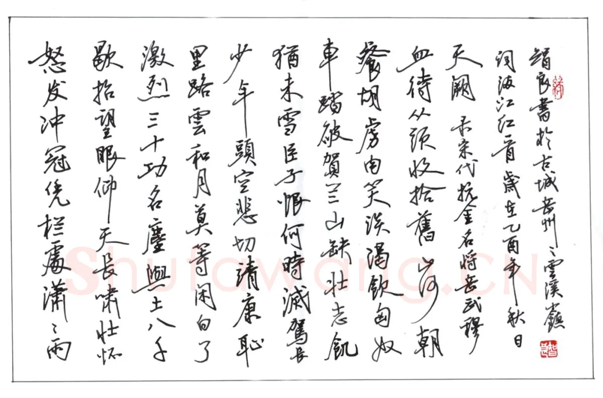 丁智良硬笔行书岳阳满江红,丁智良硬笔书法作品