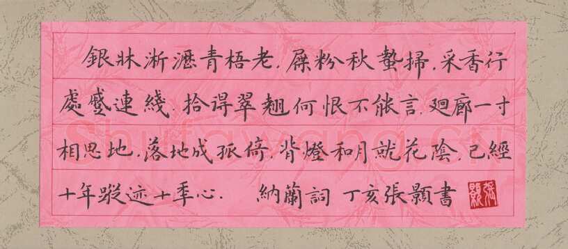 张颢硬笔楷书纳兰词,张颢硬笔书法作品