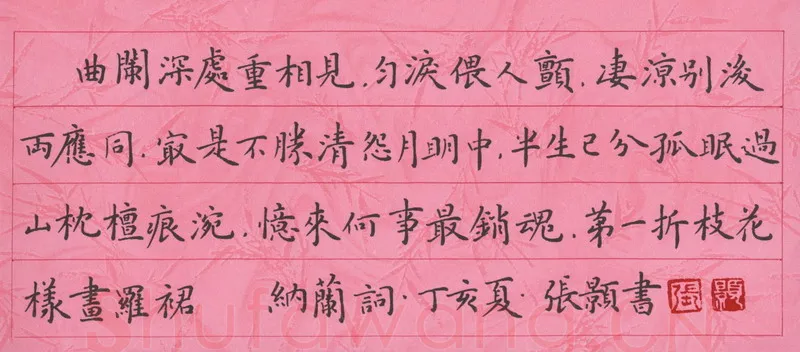 张颢硬笔楷书纳兰词,张颢硬笔书法作品