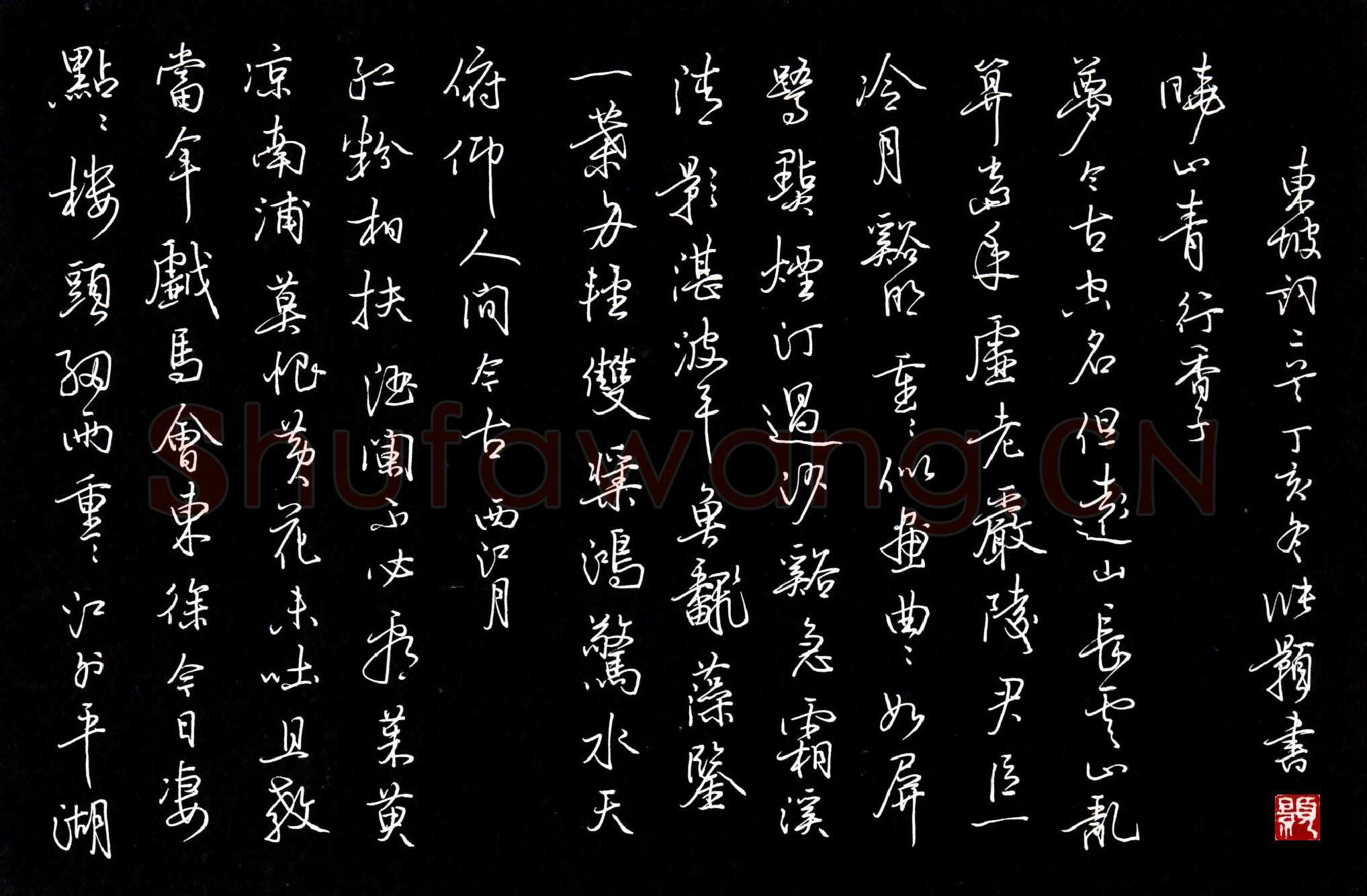张颢硬笔行书东坡词二首,张颢硬笔书法作品