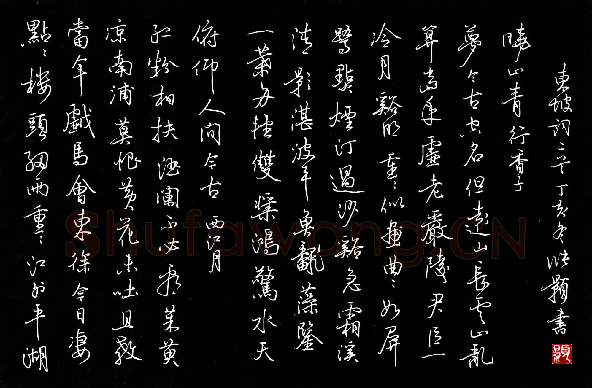 张颢硬笔行书东坡词二首,张颢硬笔书法作品