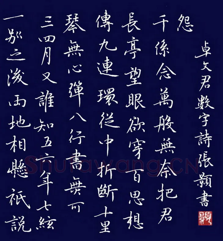 张颢硬笔楷书卓文君数字诗,张颢硬笔书法作品