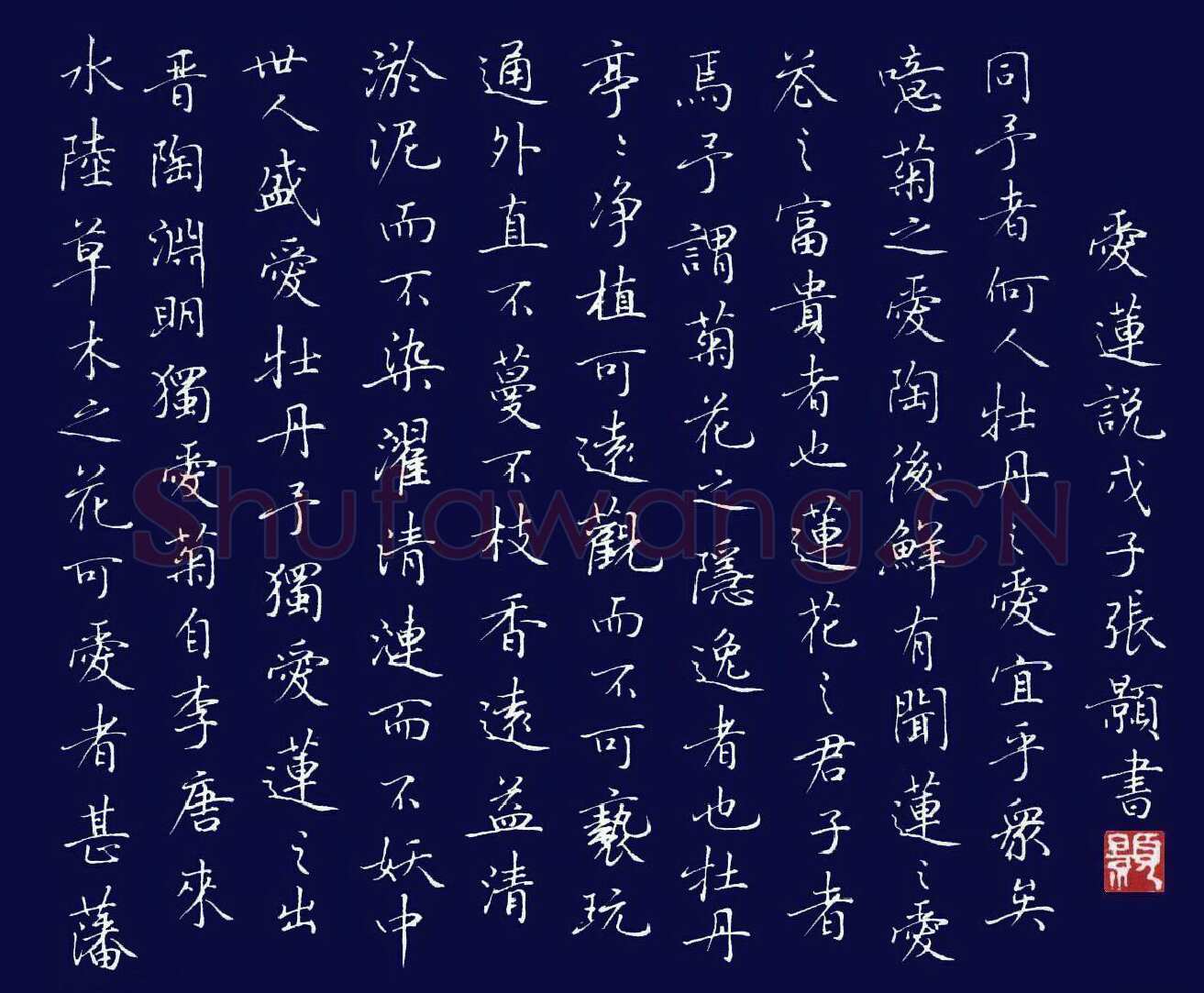 张颢硬笔楷书爱莲说,张颢硬笔书法作品