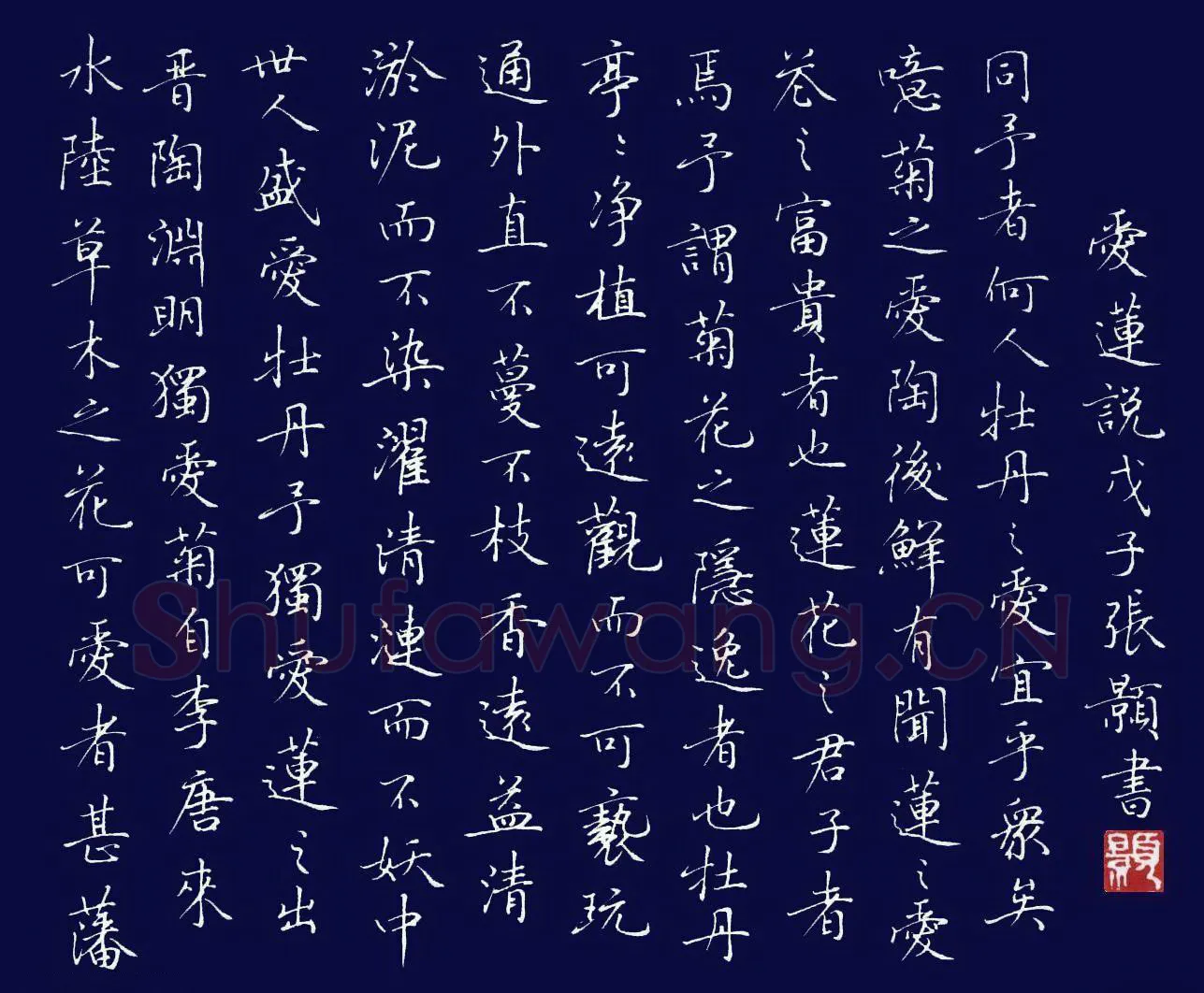 张颢硬笔楷书爱莲说,张颢硬笔书法作品
