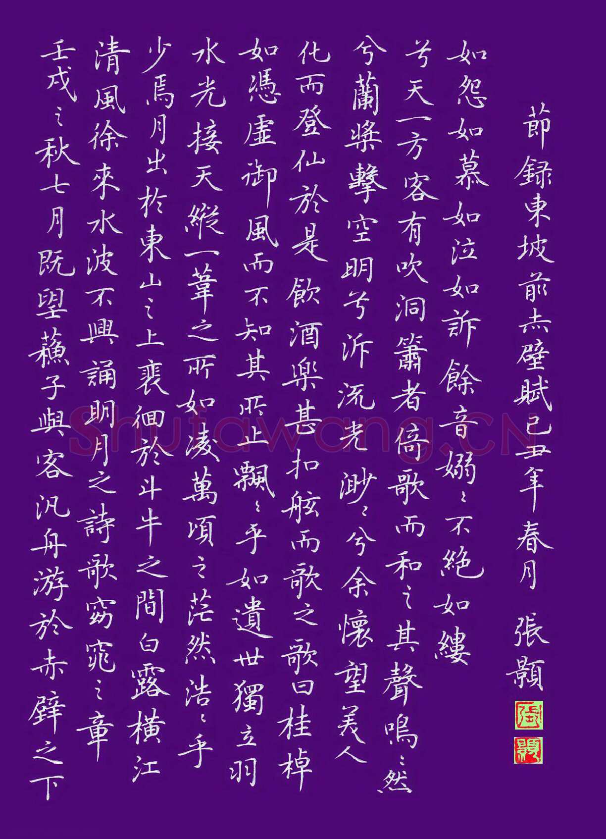 张颢硬笔楷书节录东坡赤壁赋,张颢硬笔书法作品