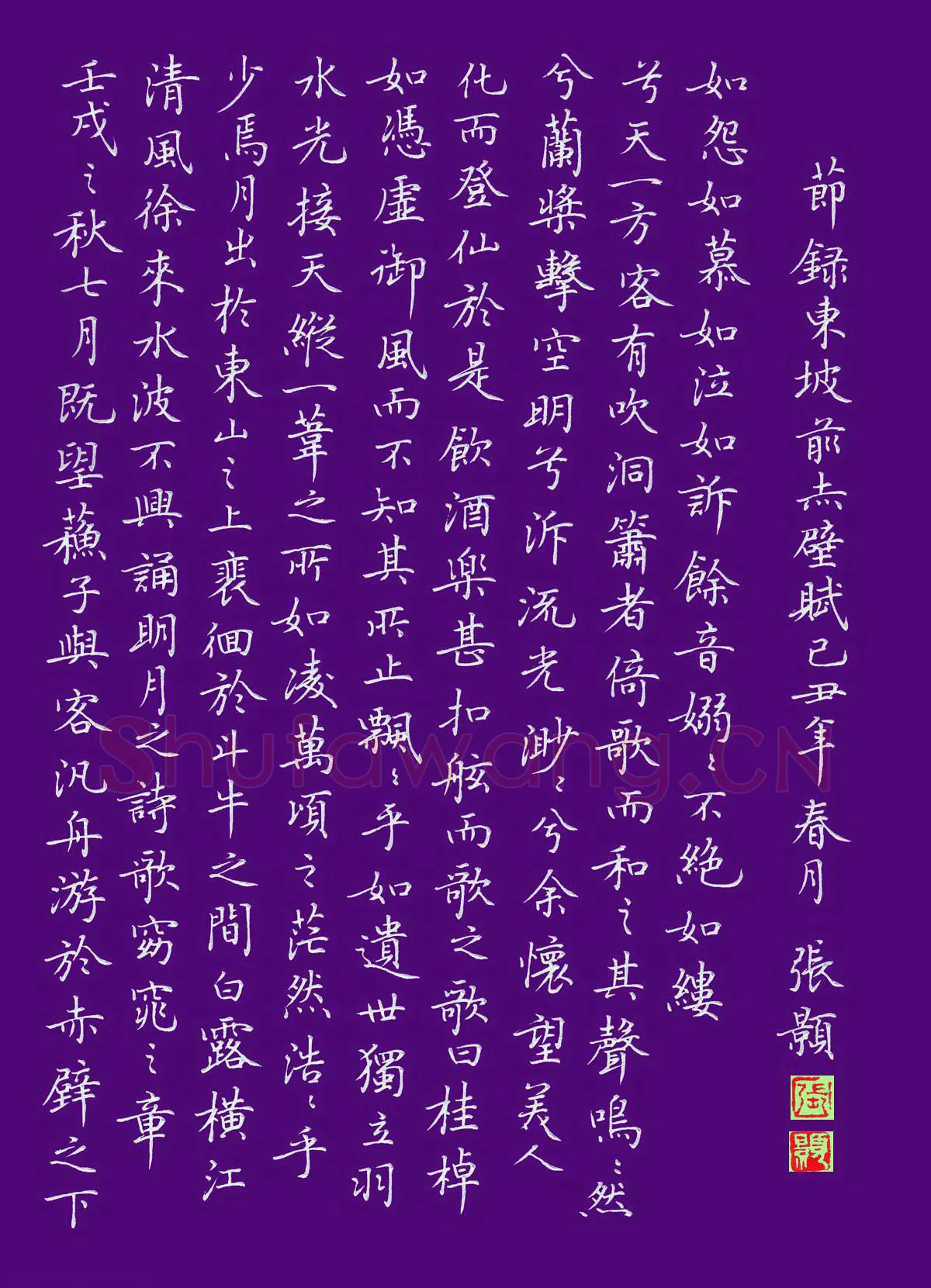 张颢硬笔楷书节录东坡赤壁赋,张颢硬笔书法作品