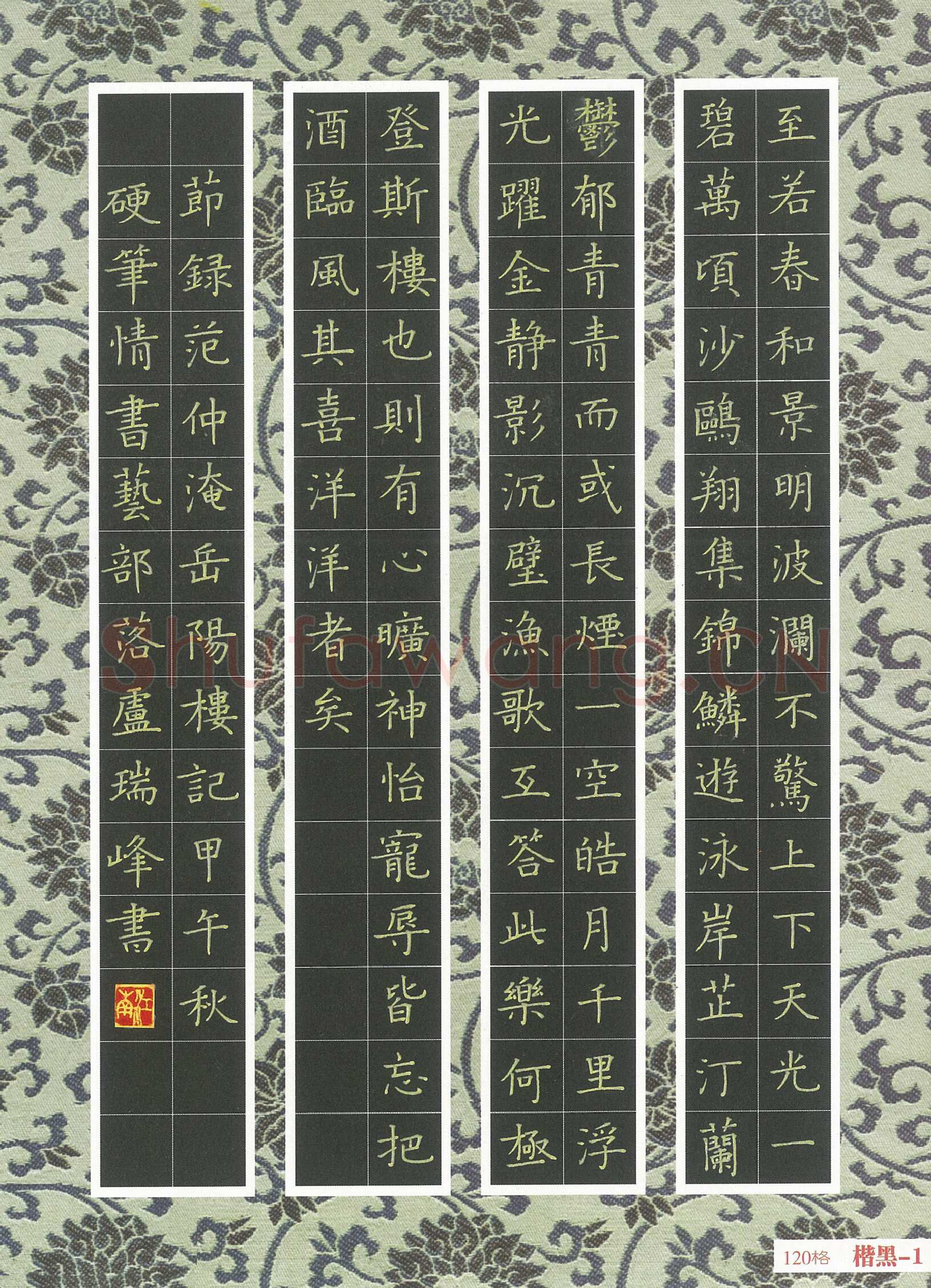 卢瑞峰硬笔楷书范仲淹岳阳楼记节录,卢瑞峰硬笔书法作品