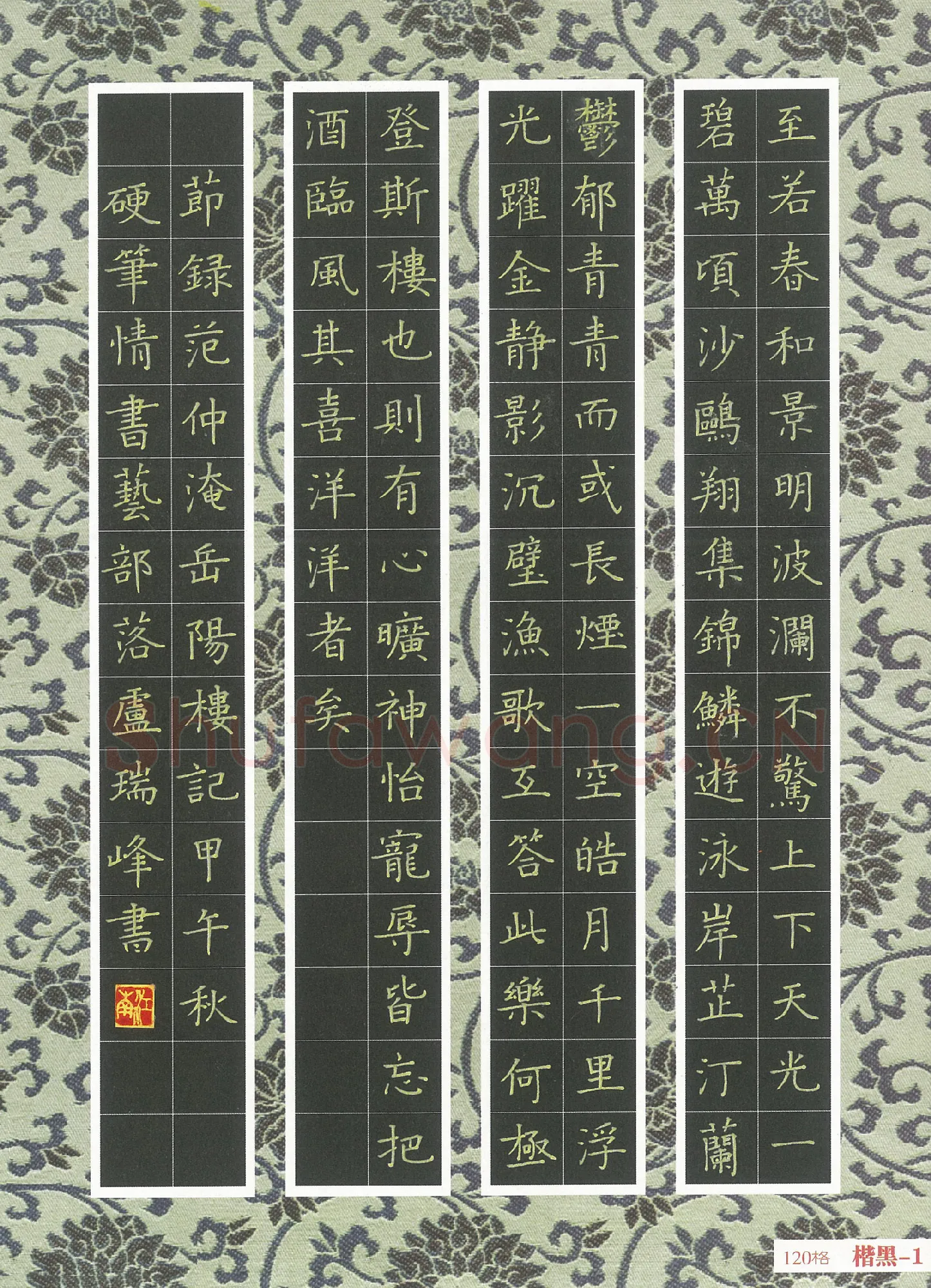 卢瑞峰硬笔楷书范仲淹岳阳楼记节录,卢瑞峰硬笔书法作品
