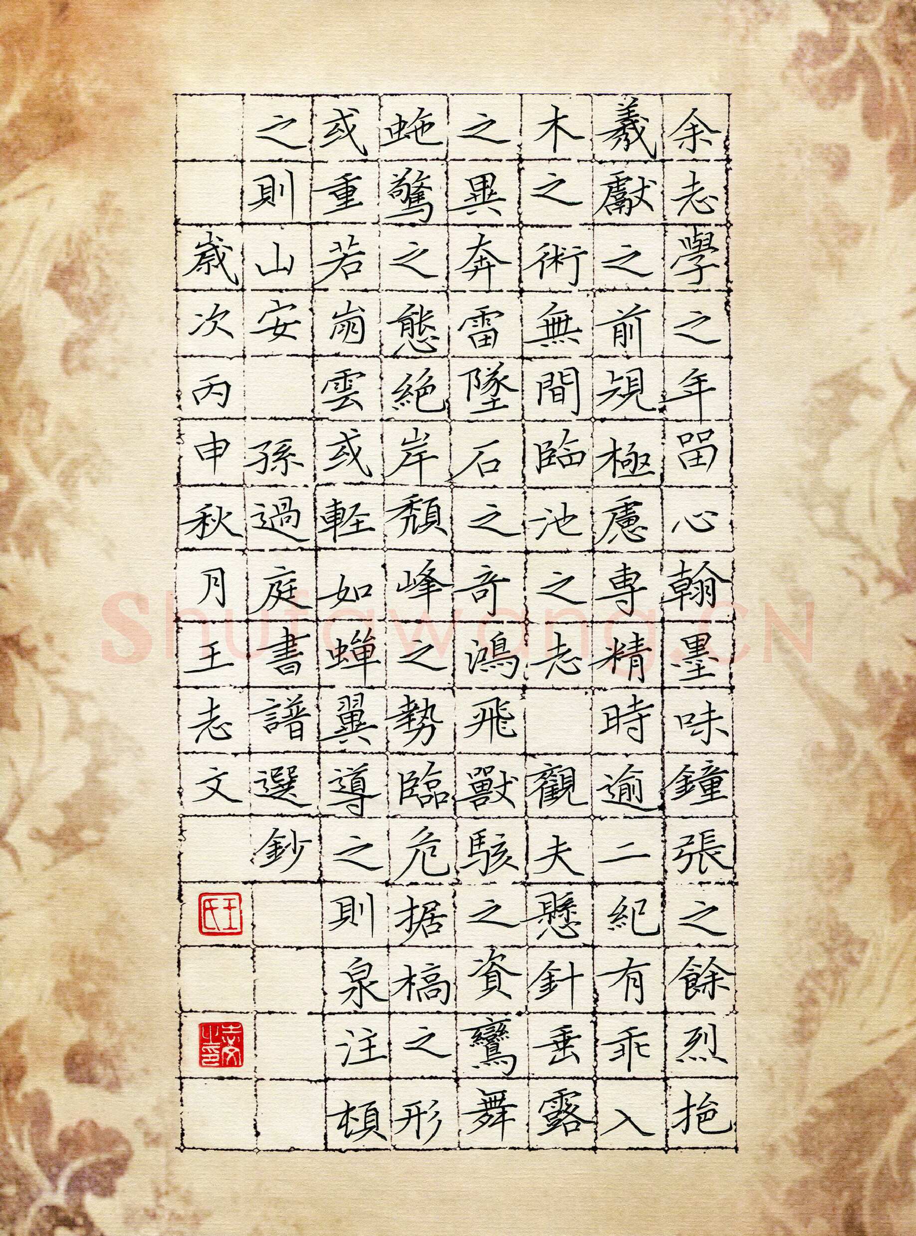 王志文硬笔楷书孙过庭书谱选抄,硬笔书法作品